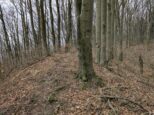 Ku Sokoliemu kameňu kedysi viedla aj žltá trasa 8117 (2025)